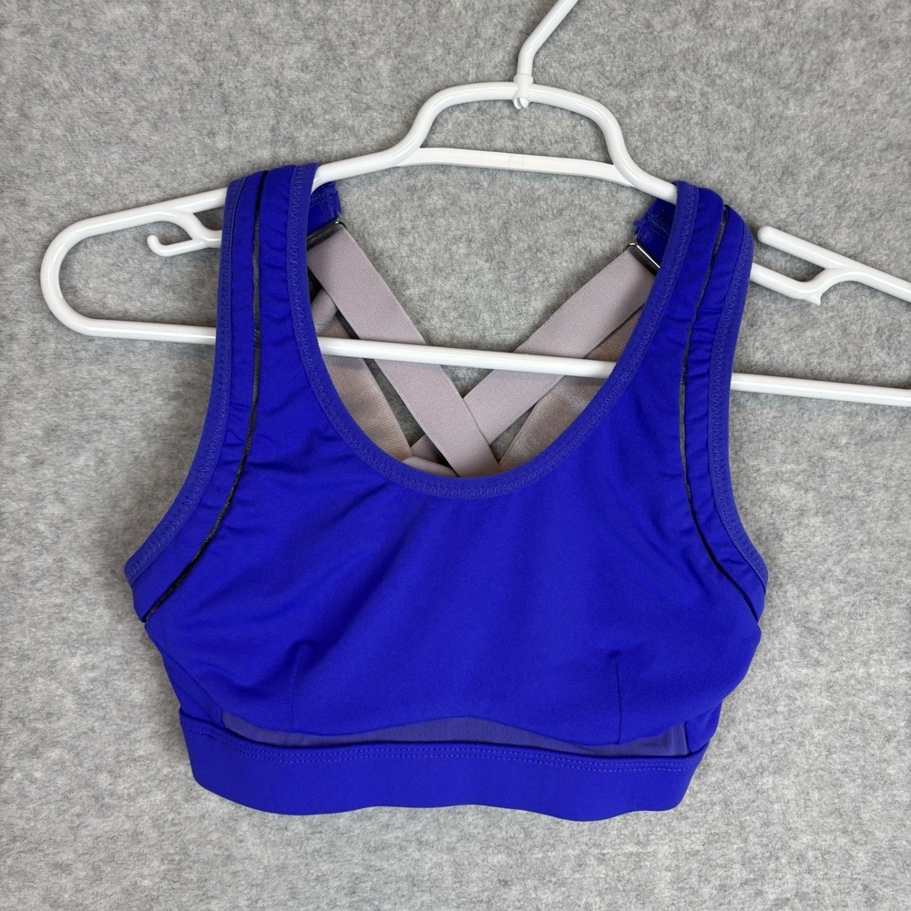 Fabletics Belle High Impact Sports Bra Blue Purple Mesh panels Sz XXS 2XS